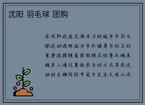 沈阳 羽毛球 团购