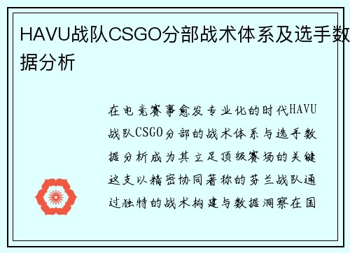 HAVU战队CSGO分部战术体系及选手数据分析