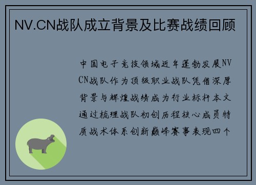 NV.CN战队成立背景及比赛战绩回顾